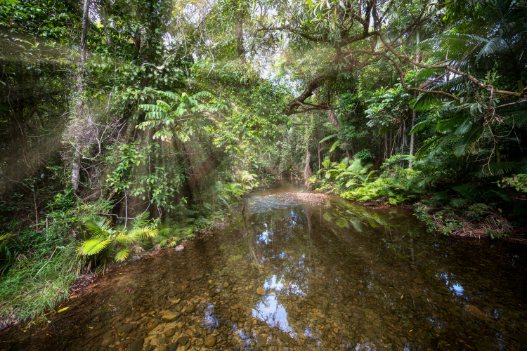 TERRITORIOS CIRCULARES Y BIODIVERSIDAD: CREANDO UN FUTURO POSITIVO PARA LA NATURALEZA CON LA ECONOMÍA CIRCULAR